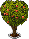 Peach Tree