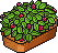 Raspberry Patch